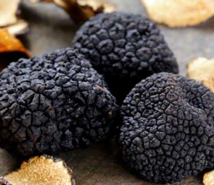 Tartufo Nero Pregiato, Menu degustazione – Giovedì 31 Gennaio